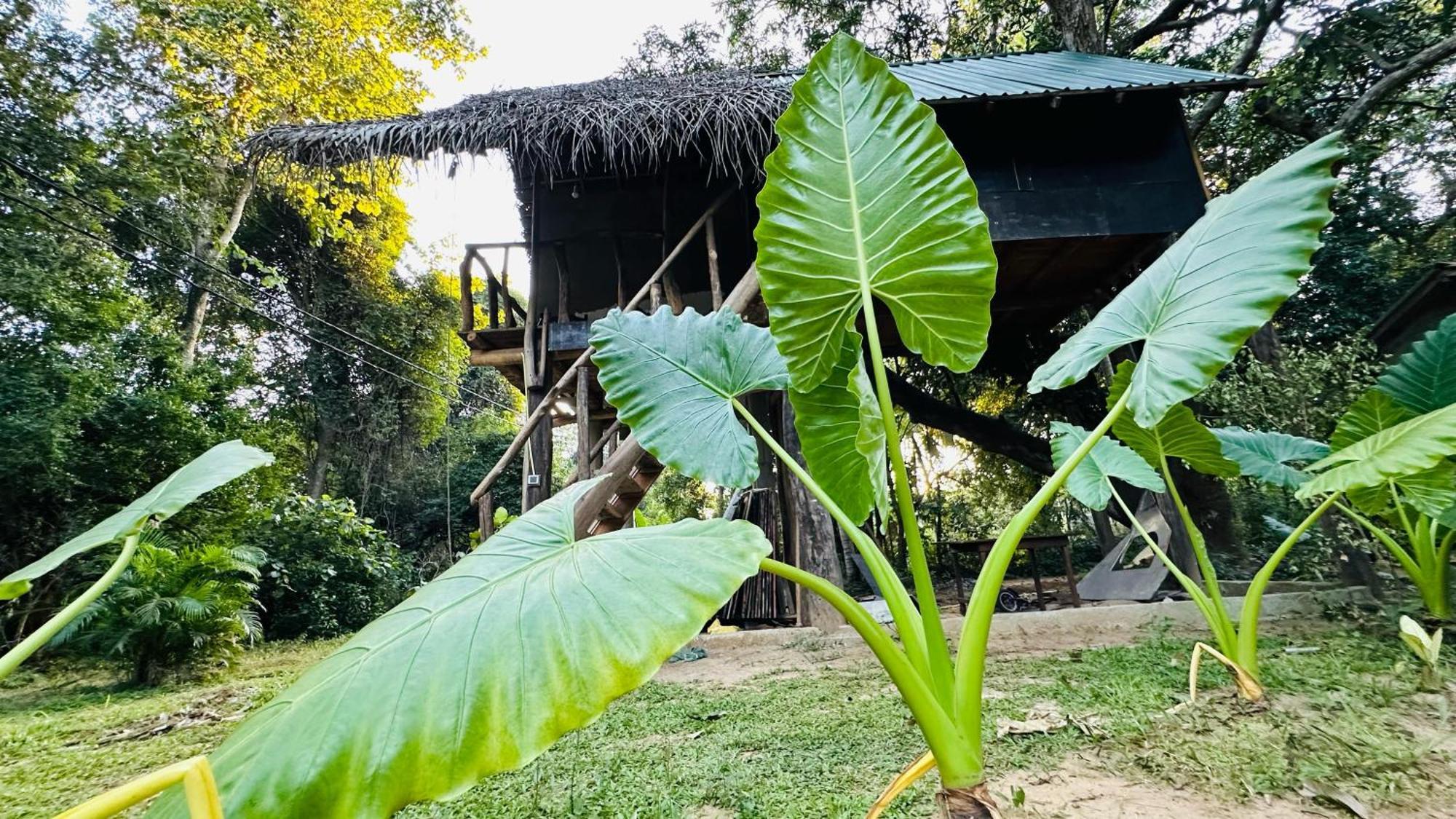 Sigiri Veenus Paradise Sigiriya Luaran gambar